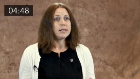 Managing Supplier Social Responsibility: On-site Audits